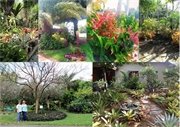 Winners of the 2017 Natalie Belmonte Great Yards Award and the Broward County NatureScape Emerald Award to be recognized 